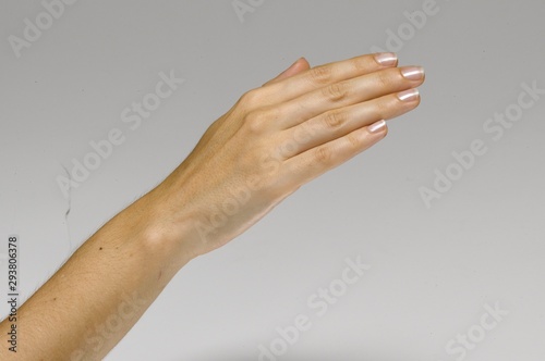 Female hand seen from behind. Isolated on white background