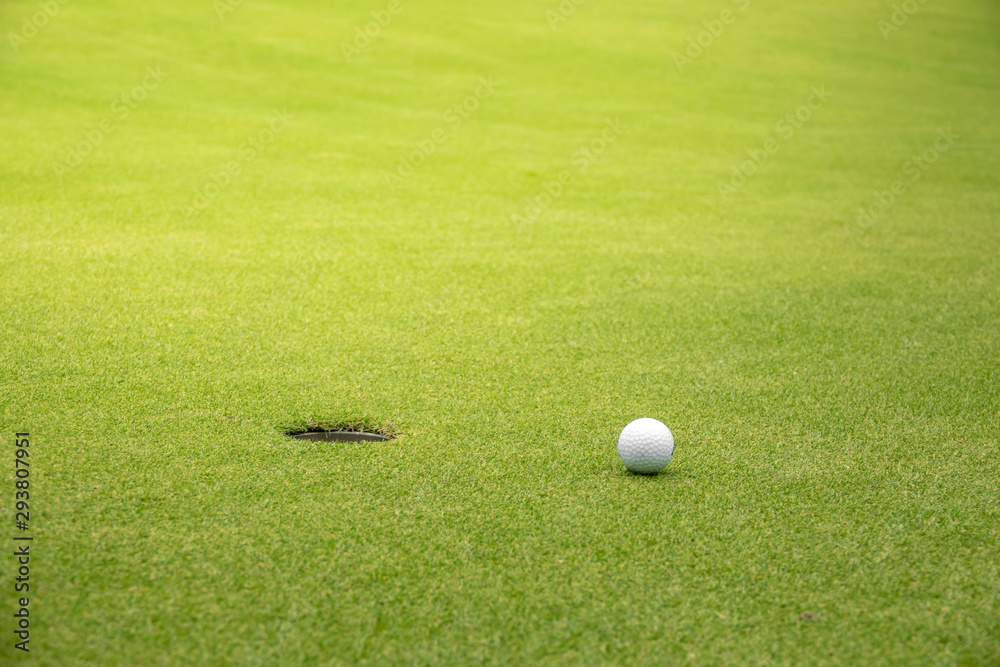 golf ball on grass golf ball on grass