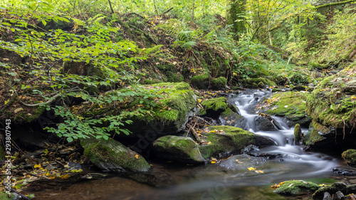 Bach mit Wasserfall im Herbstwald