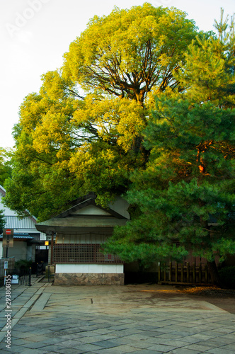 Tokyo, Japan, Ueno Toshogu, a souvenir wooden house on the side is also a historic building