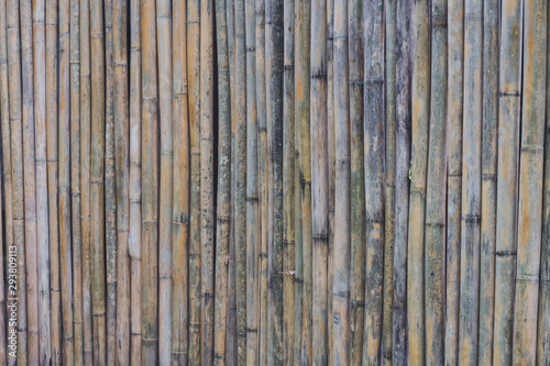 Close up of bamboo wall background texture, free space for design text or pictures