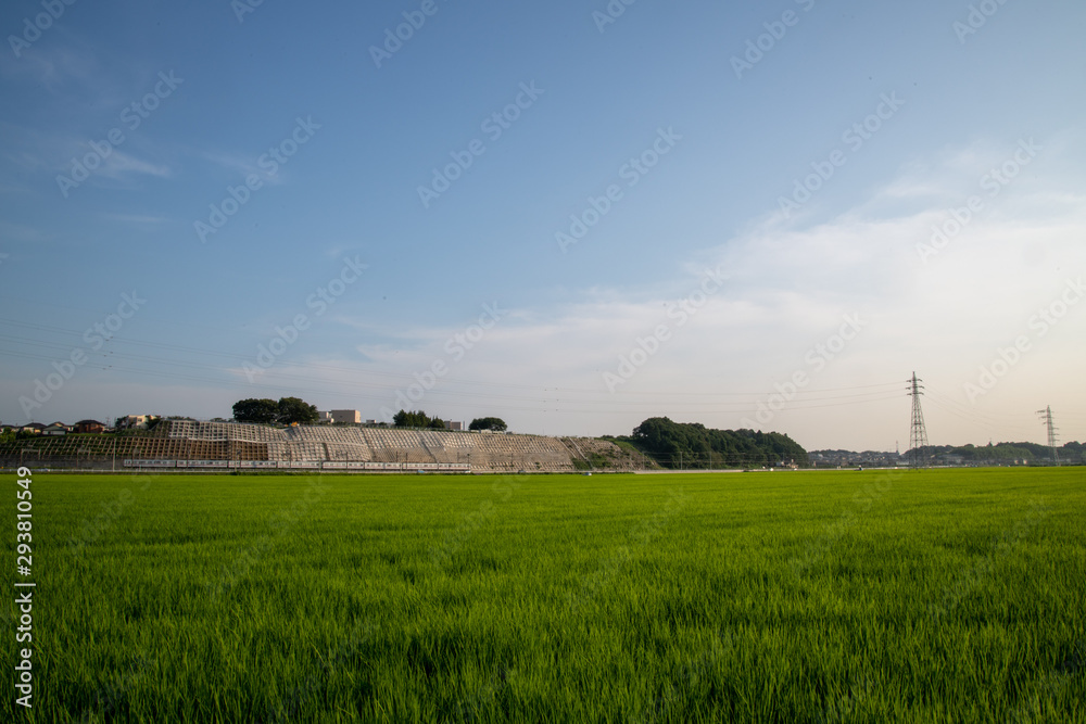佐倉ふるさと広場 佐倉ふるさと広場