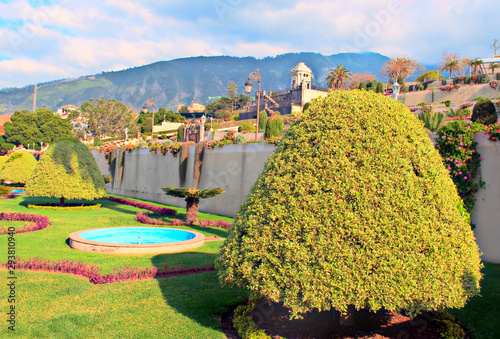 Garden of Spanish town of La Orotava in Canary Island in a sunny day. photo