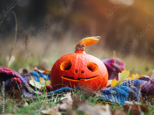 Happy Halloween pumpkin with happy face in autumn forest