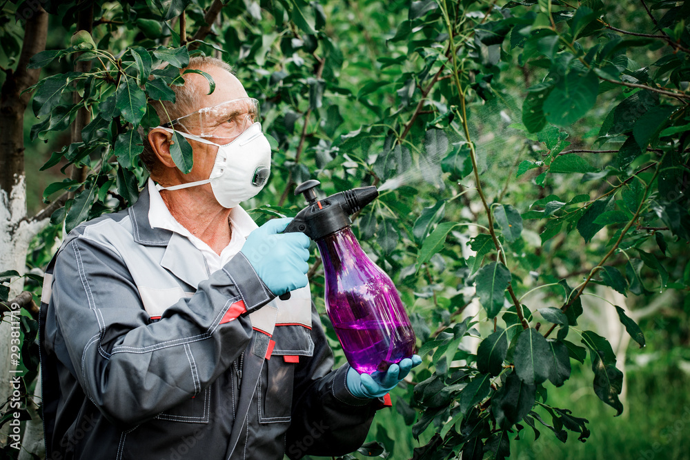 Worker sprays organic pesticides on plants