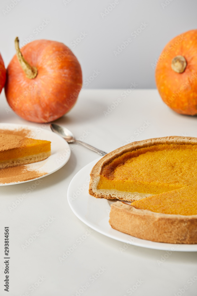 delicious pumpkin pie with cinnamon powder near spoon and whole ripe pumpkins on white marble surface isolated on grey delicious pumpkin pie with cinnamon powder near spoon and whole ripe pumpkins on white marble surface isolated on grey