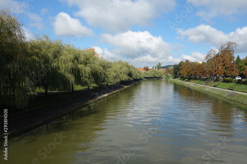 Ljubljana river image with willows