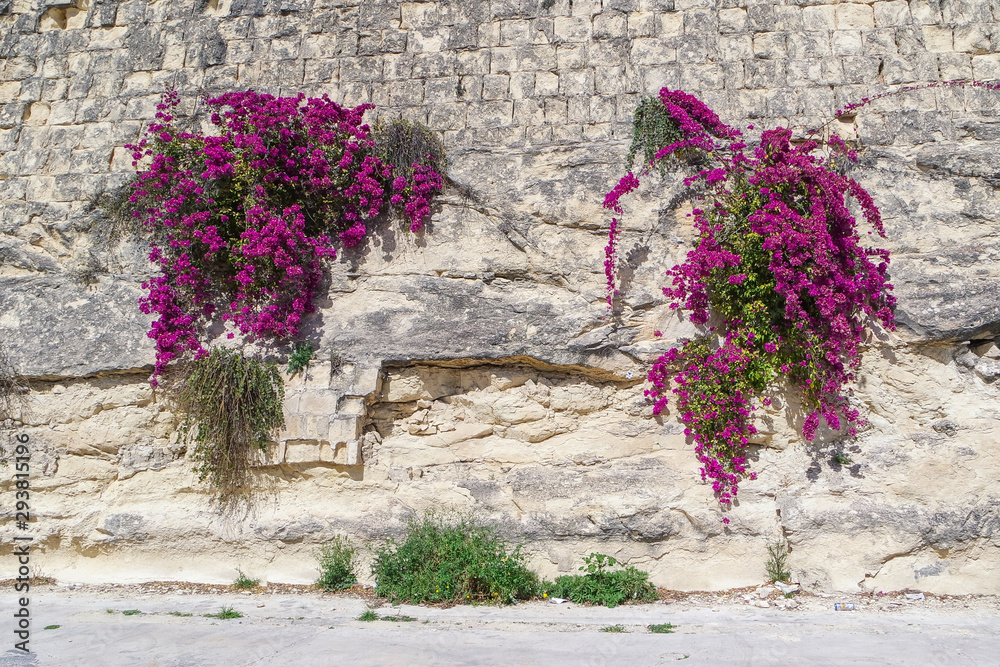 Old Stone Walls in Floriana, Malia