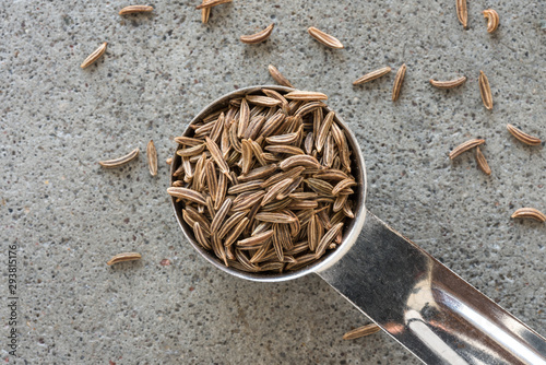 Caraway Seeds Spilled from a Teaspoon