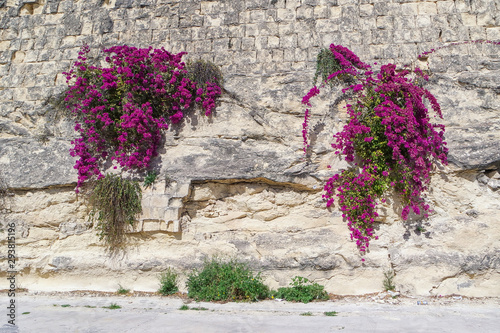 Old Stone Walls in Floriana, Malia