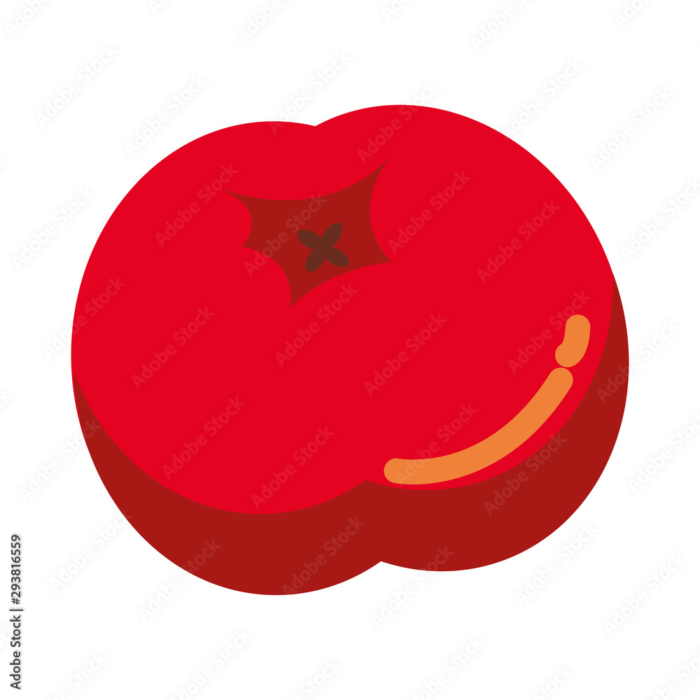 acorn autumn fruit seasonal isolated icon acorn autumn fruit seasonal isolated icon