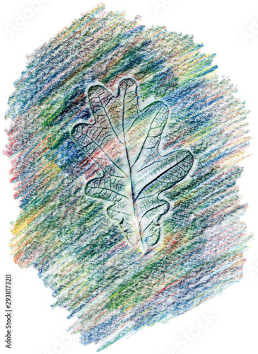 Multocolored oak leaf print (stamp) drawing by pencil photo