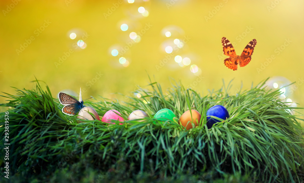 butterflies flutter on festive Easter background with multicolored eggs in green grass in Sunny clear spring day