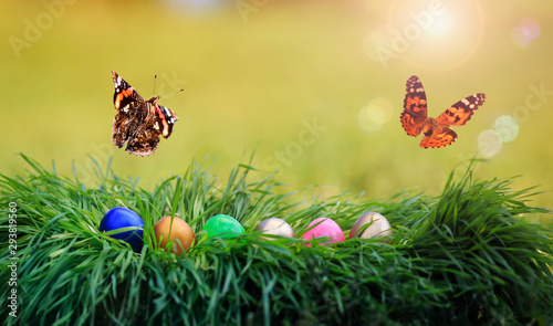 two beautiful Admiral butterflies flutter over the festive Easter background with multi-colored eggs in green grass on a Sunny clear spring day