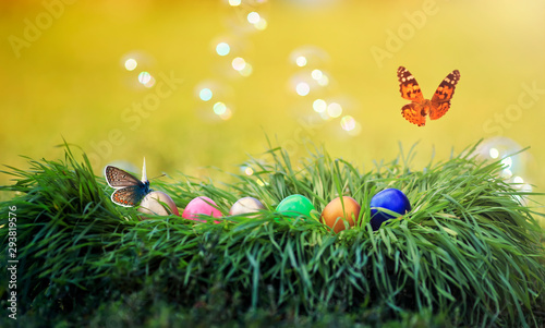 butterflies flutter on festive Easter background with multicolored eggs in green grass in Sunny clear spring day