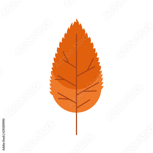 autumn leaf plant seasonal isolated icon