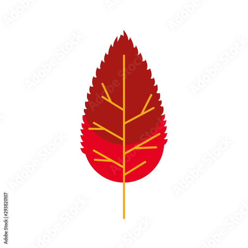 autumn leaf plant seasonal isolated icon
