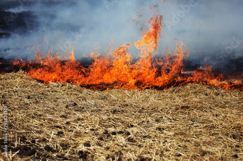 Dry forest and steppe fires completely destroy fields and steppes during severe drought. Disaster causes regular damage to the nature and economy of the region. Field Lights Farmer Burns Straw © Aleksandr Lesik