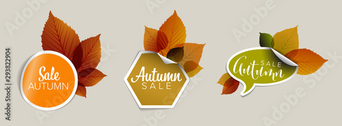 Set of vector autumn discount tickets, labels, stamps, stickers