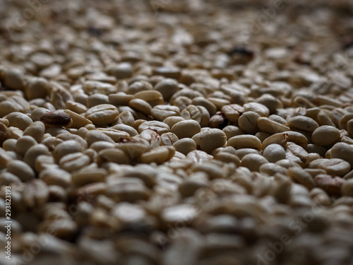 Coffe grains