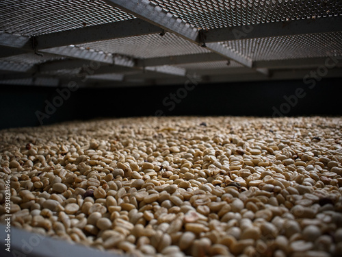 Coffe grains