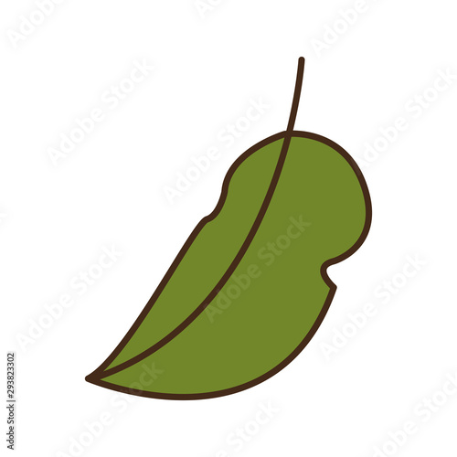 autumn leaf plant seasonal isolated icon