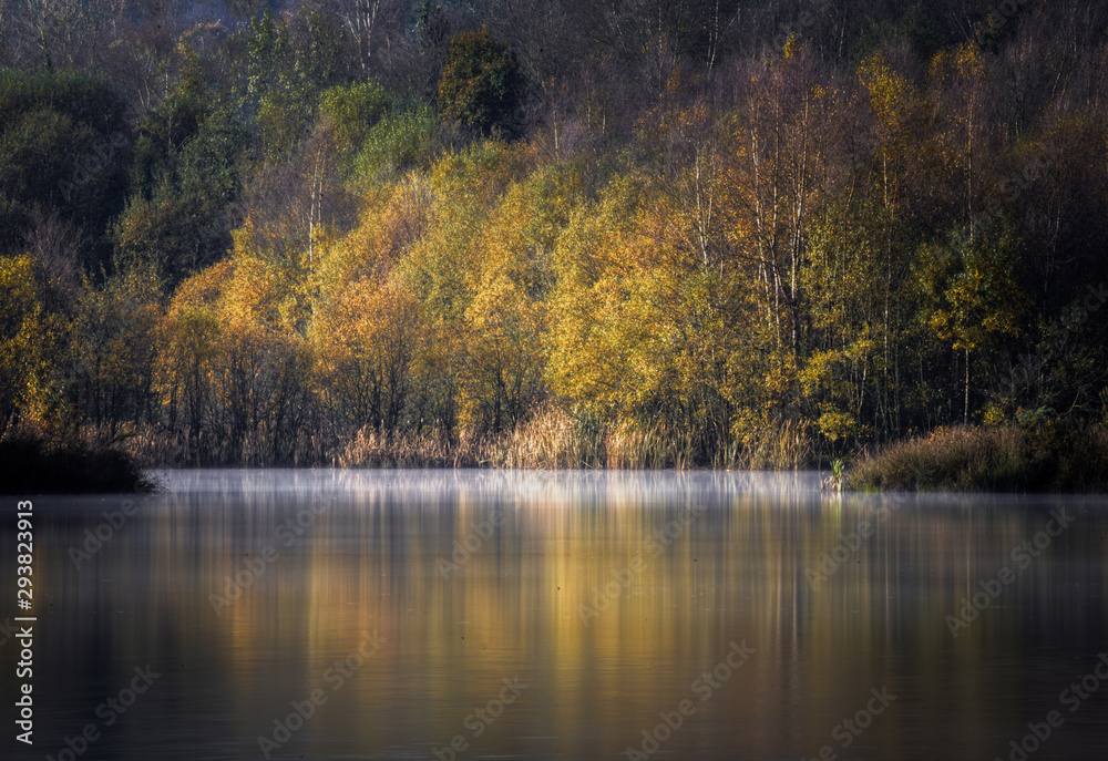 Autumn Forest Reflected in the Placid Waters of a Lagoon