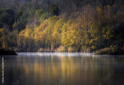 Autumn Forest Reflected in the Placid Waters of a Lagoon