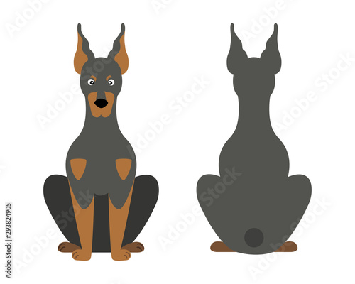 Vector illustration of funny cartoon dogs breeds set. Doberman Pinscher.