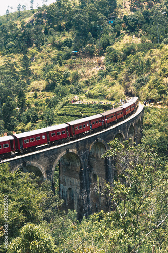 Train on the Nine Arch Bridge in Sri Lanka