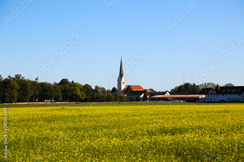 Feldmochinger church tower with rape field photo