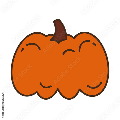 autumn pumpkin fruit seasonal isolated icon