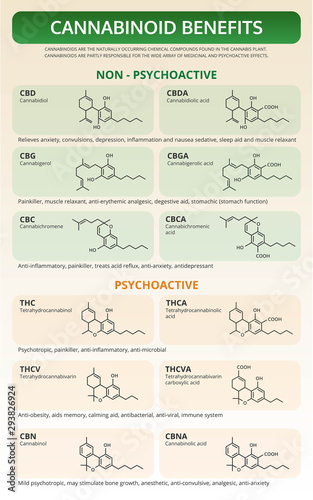 Cannabinoid Benefits vertical textbook infographic illustration about cannabis as herbal alternative medicine and chemical therapy, healthcare and medical science vector.