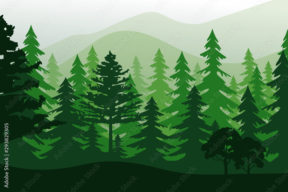 Fototapeta premium Vector landscape with green forest isolated.