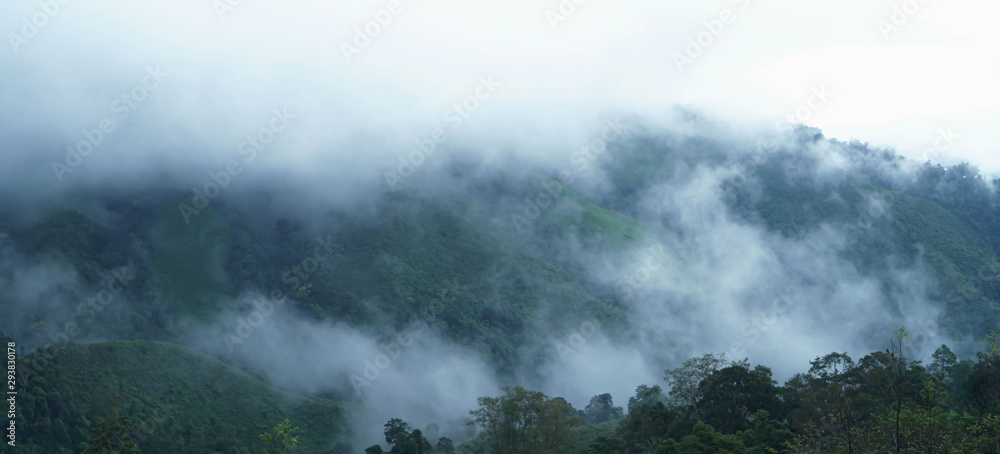 Mountains, trees and mist With abundant nature