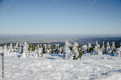 Urlaub/Reisen photo