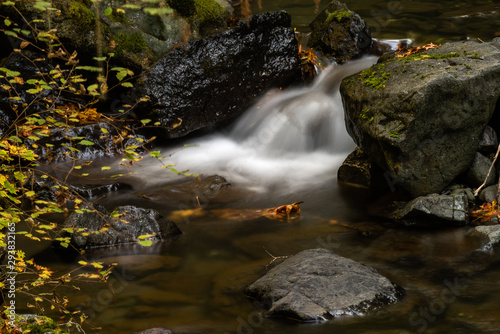 Olympic National Park 0357