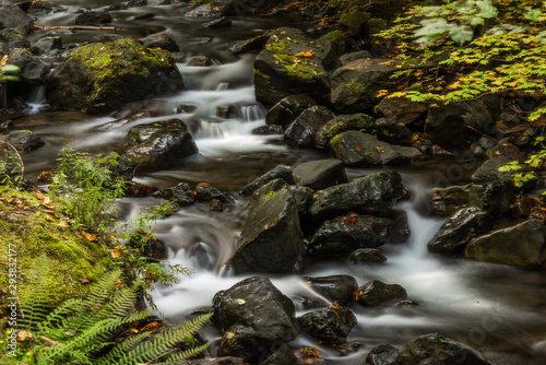 Olympic National Park 0352