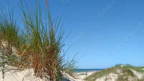 Wilderness grass sandy landscape of Liepaja beach Latvia, medium static shot  photo