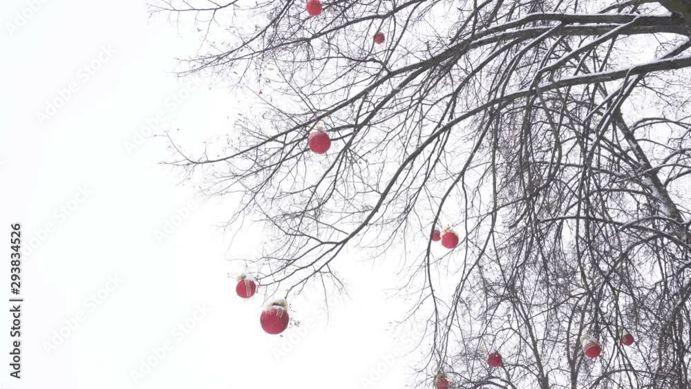 Tree decorated with New Year red balls against the sky, snowy weather, winter, copy space Tree decorated with New Year red balls against the sky, snowy weather, winter, copy space