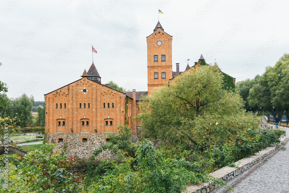 view of the Radomyshl castle