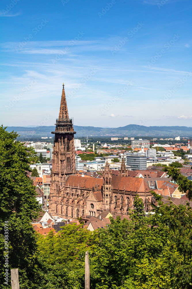 Freiburger Münster