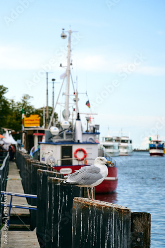 Rostock Hafen mit Booten und Meer blauer Himmel  im Hintergrund photo