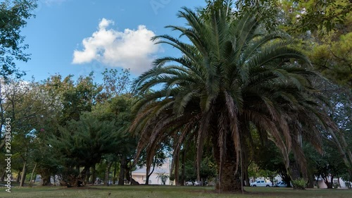 Plaza San Lorenzo - Crespo