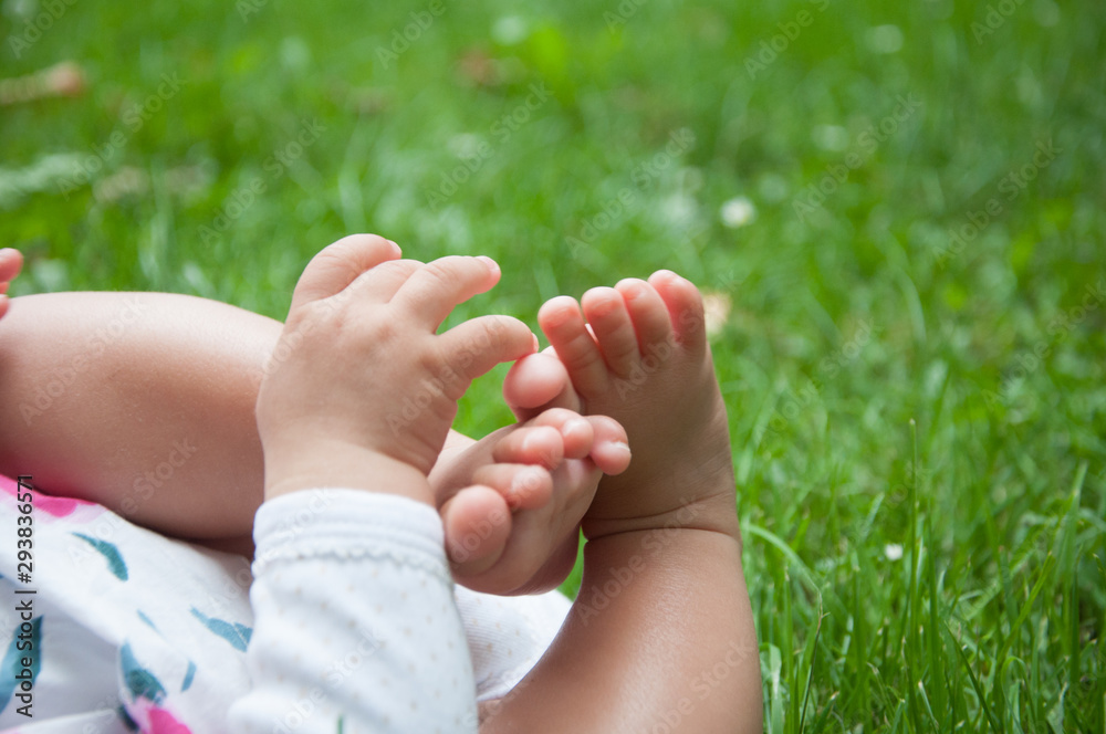 Naklejka premium baby feet and hand in grass