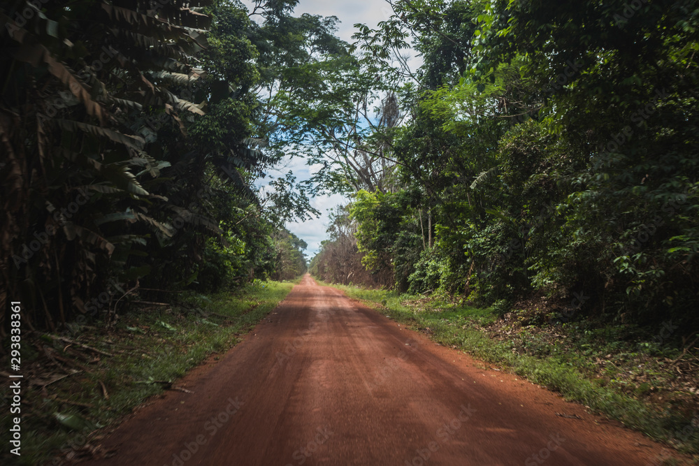Fototapeta premium Road in the jungle. Amazon roads