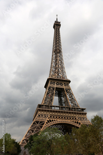 Eiffel Tower in Paris and the trees © ChiccoDodiFC
