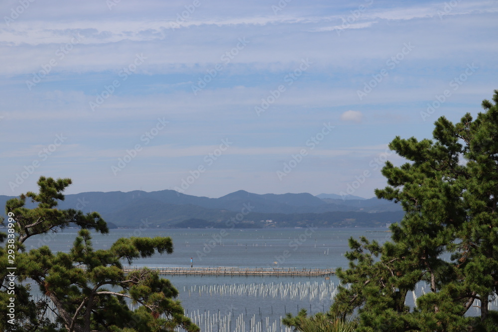 Obraz premium 空と木