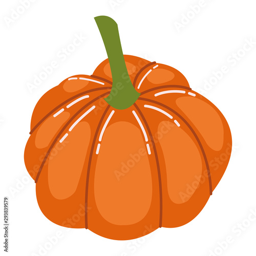 autumn pumpkin fruit seasonal isolated icon