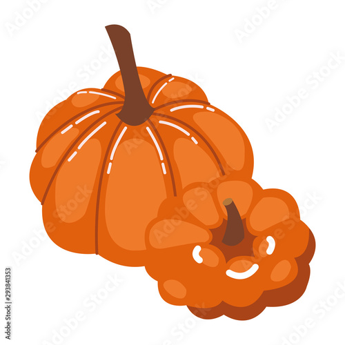 autumn pumpkin fruit seasonal isolated icon
